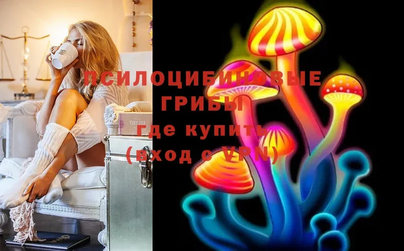 Галлюциногенные грибы MAGIC MUSHROOMS  магазин продажи   Нижнеудинск 